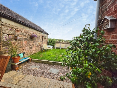 Picture 24